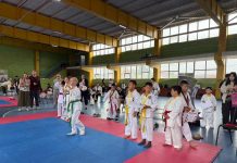 Спорттан шығармашылыққа дейін: Алматыда жасөспірімдерге арналған 300-ден астам тегін үйірме бар